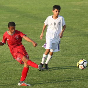 Under 12
